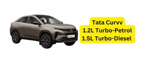 tata curvv launch date in india